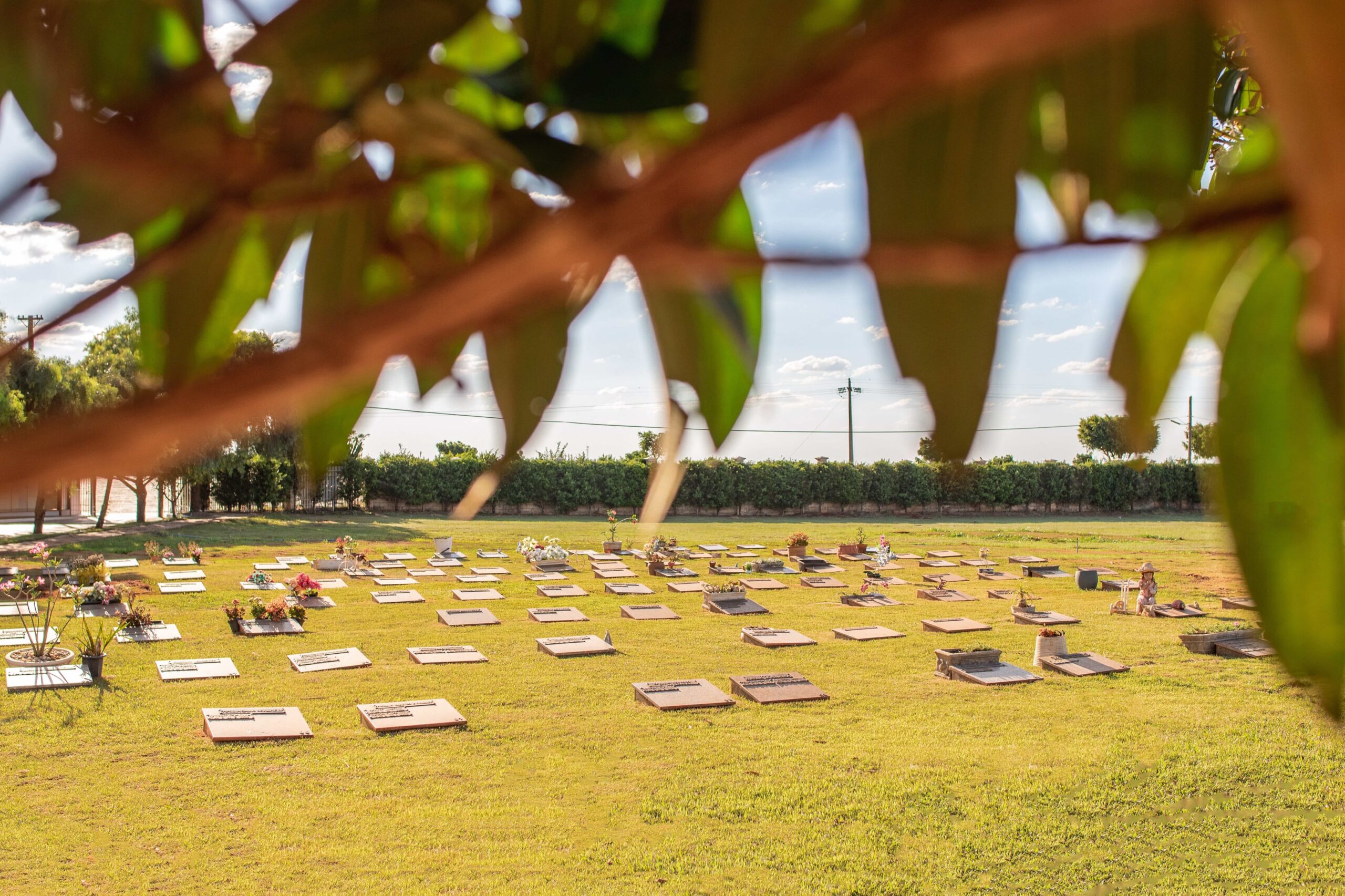 Memorial-Garden-Fotografias-Editoriais-Em-Ourinhos-23-1-scaled.jpg