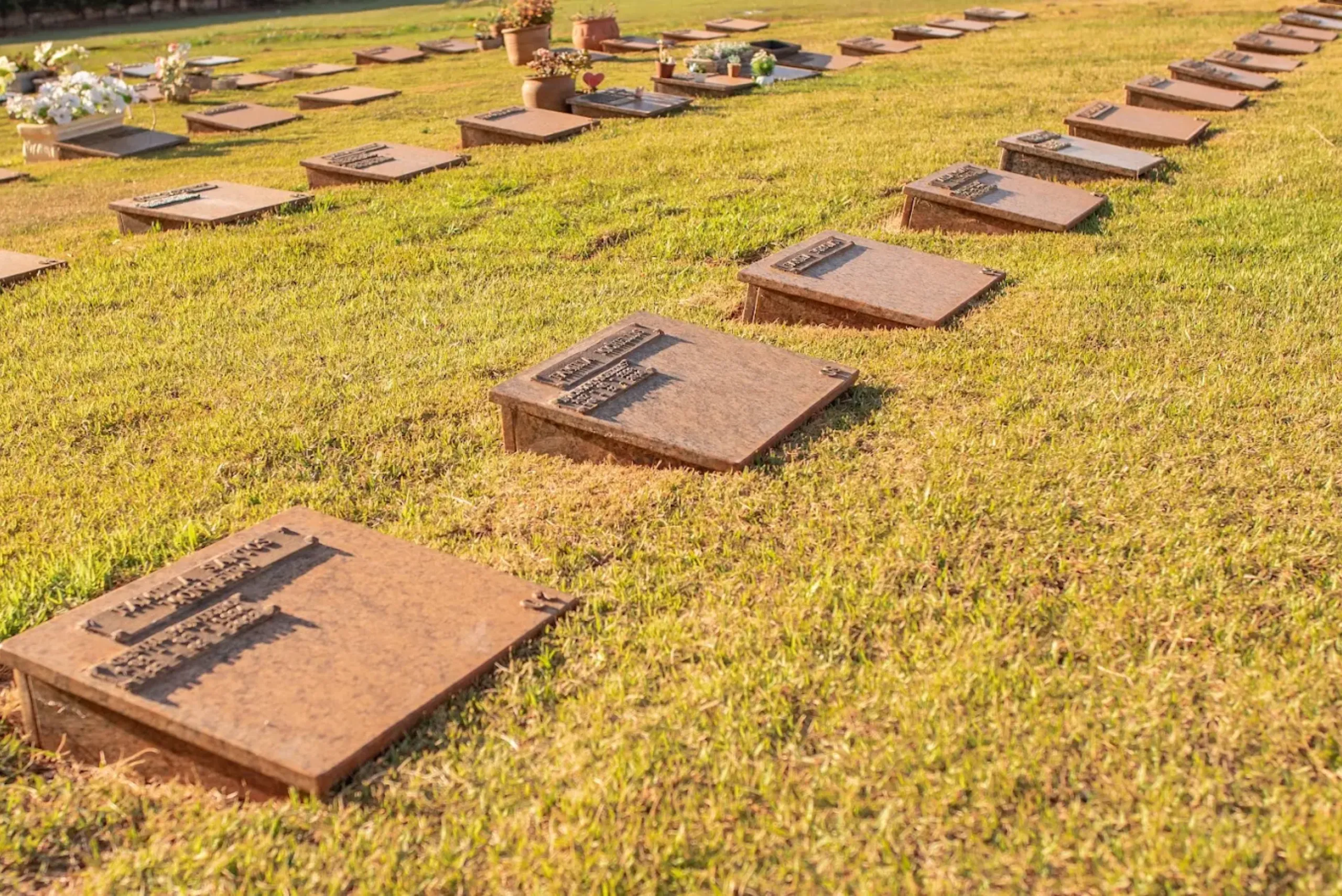 Memorial-Garden-Fotografias-Editoriais-Em-Ourinhos (29) (1)