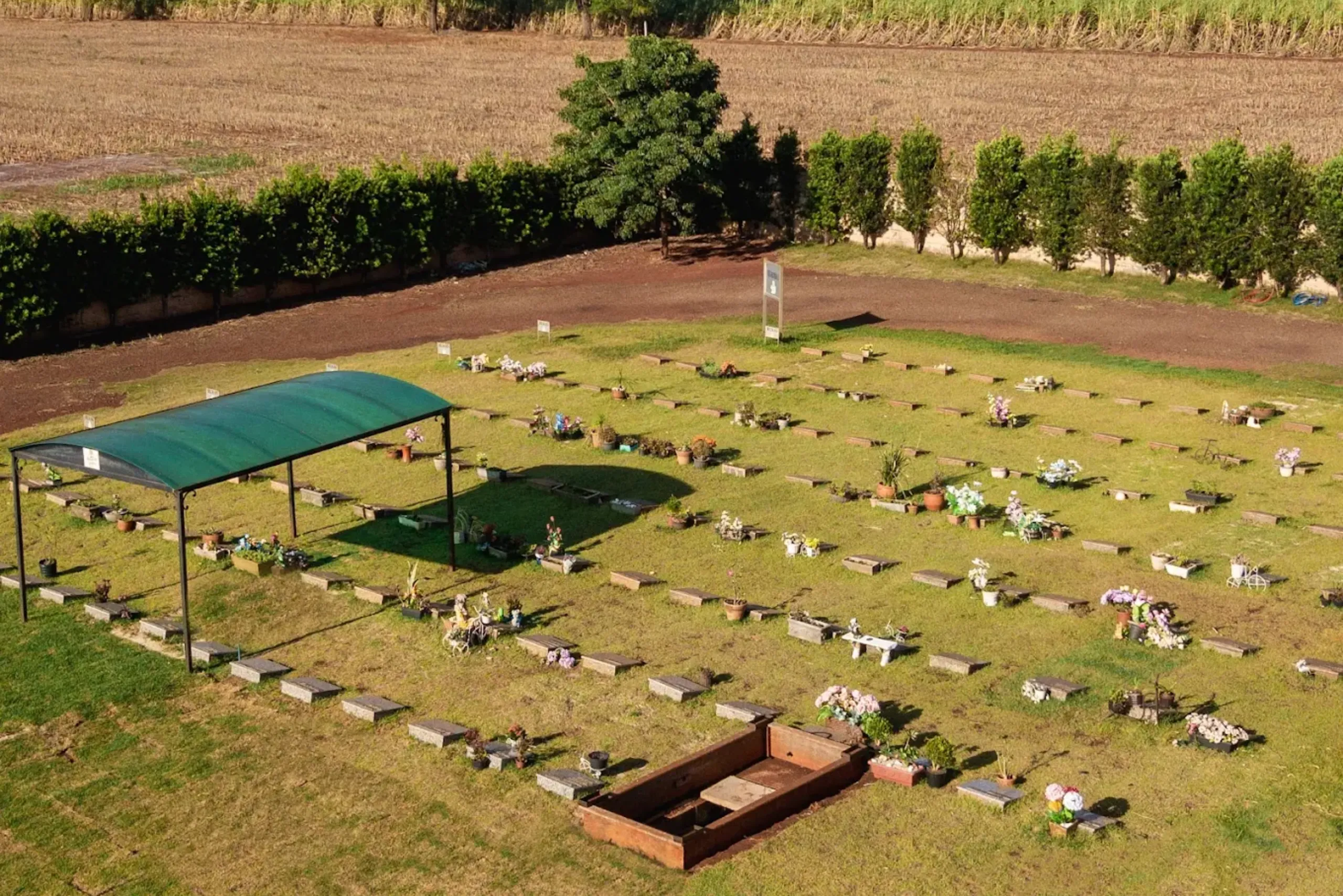 Memorial-Garden-Fotografias-Editoriais-Em-Ourinhos (57) (1)